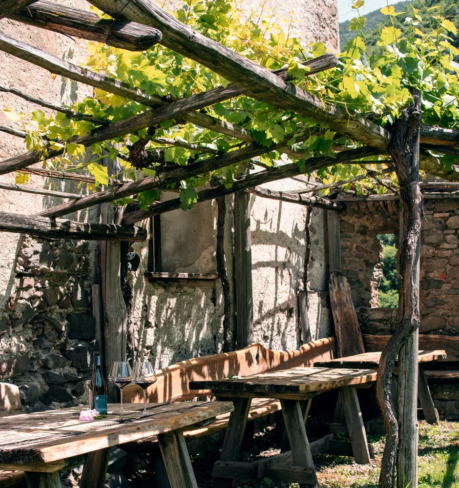 01haselburg_ristorante_vino