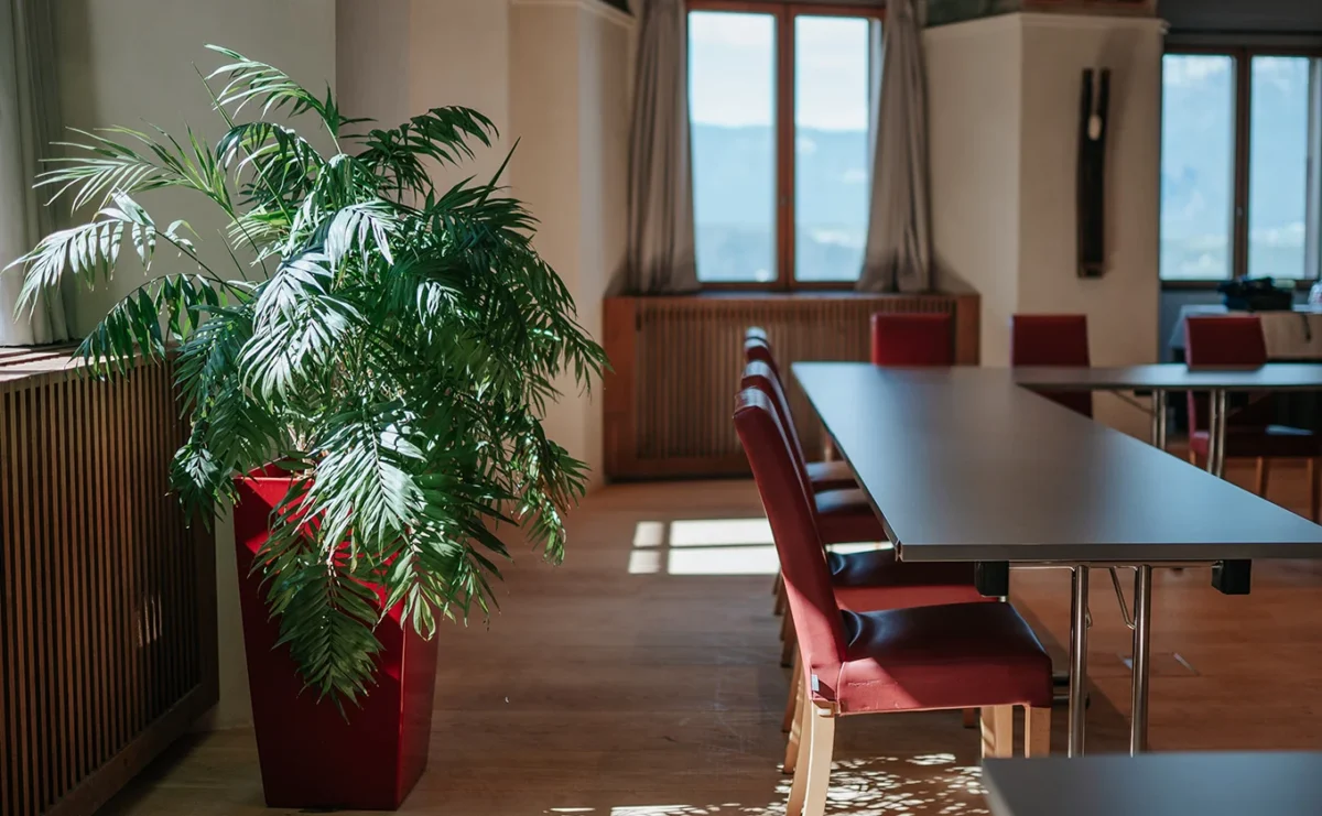 haselburg_sala.affreschi4